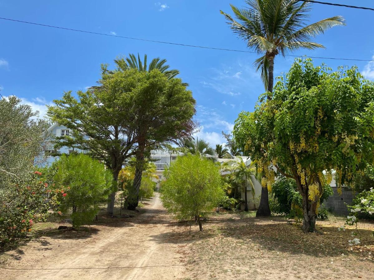 Villa & Bungalow 'Coco Des Sables' Les Pieds Dans L'Eau La Saline-Les-Bains Exterior foto